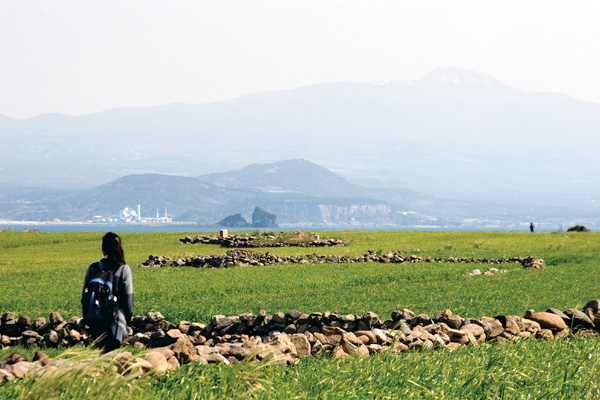 kham-pha-duong-mon-quanh-dao-jeju-vao-mua-thu-jeju-olle